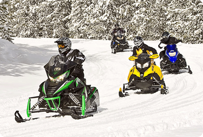 snowmobile team